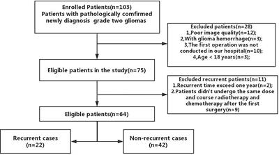 A Radiomics Model for Predicting Early Recurrence in Grade II Gliomas Based on Preoperative <mark class="highlighted">Multiparametric Magnetic Resonance Imaging</mark>
